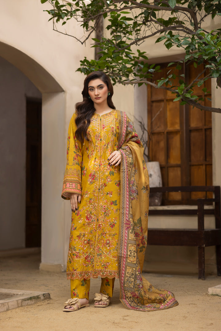 Mehrunisa - 3 PC Printed Dress