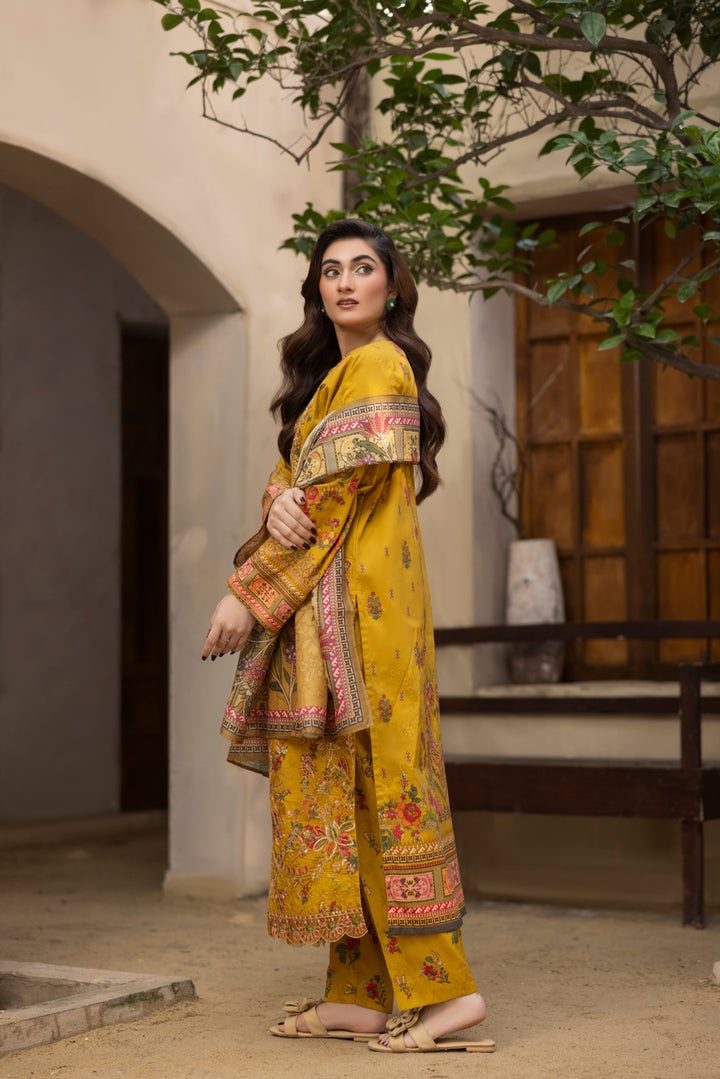 Mehrunisa - 3 PC Printed Dress