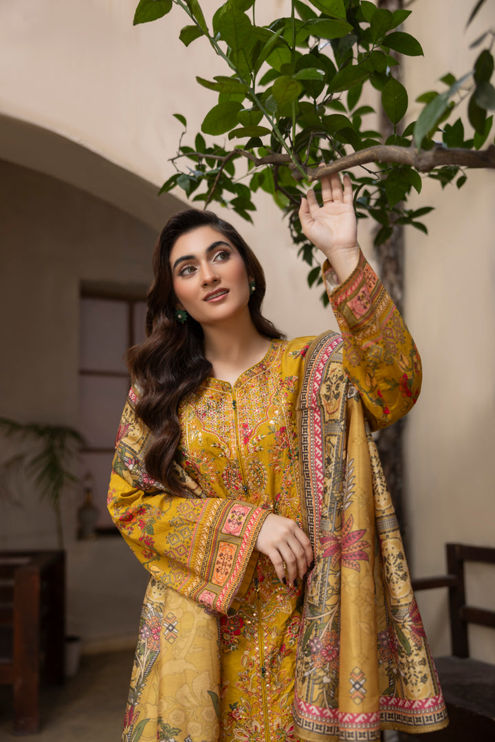 Mehrunisa - 3 PC Printed Dress