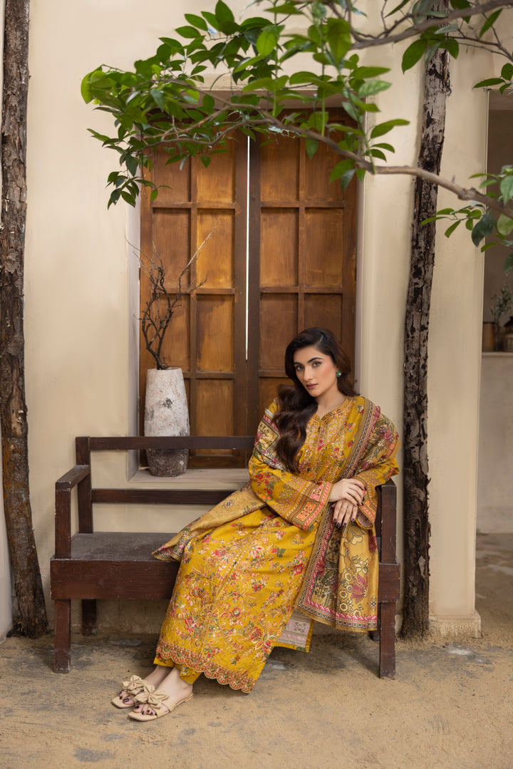 Mehrunisa - 3 PC Printed Dress