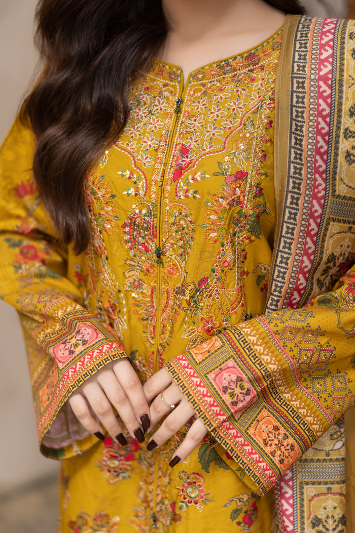 Mehrunisa - 3 PC Printed Dress