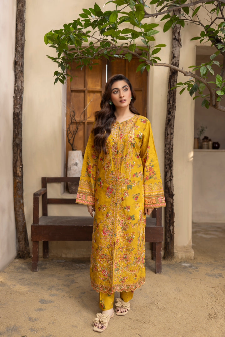 Mehrunisa - 3 PC Printed Dress