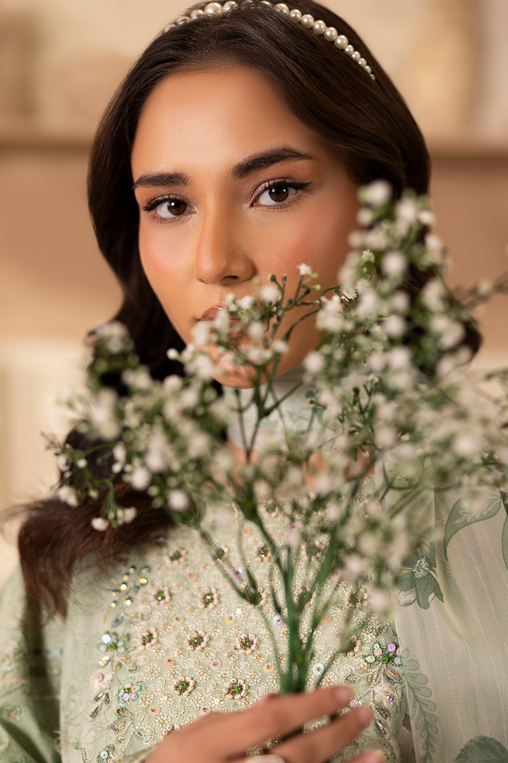 Mirzy - Printed Luxury Pret (3PC)