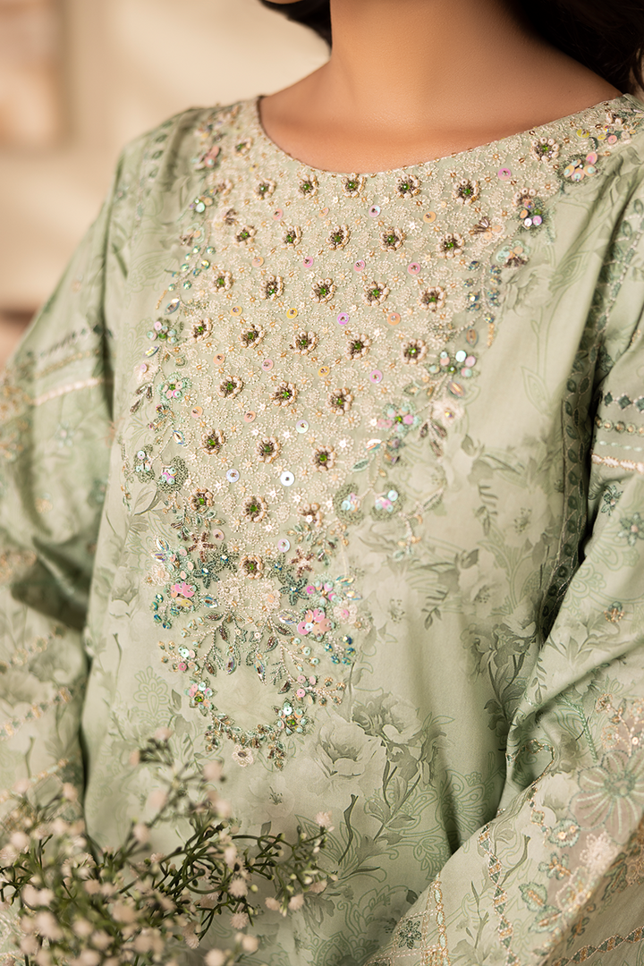 Mirzy - Printed Luxury Pret (3PC)