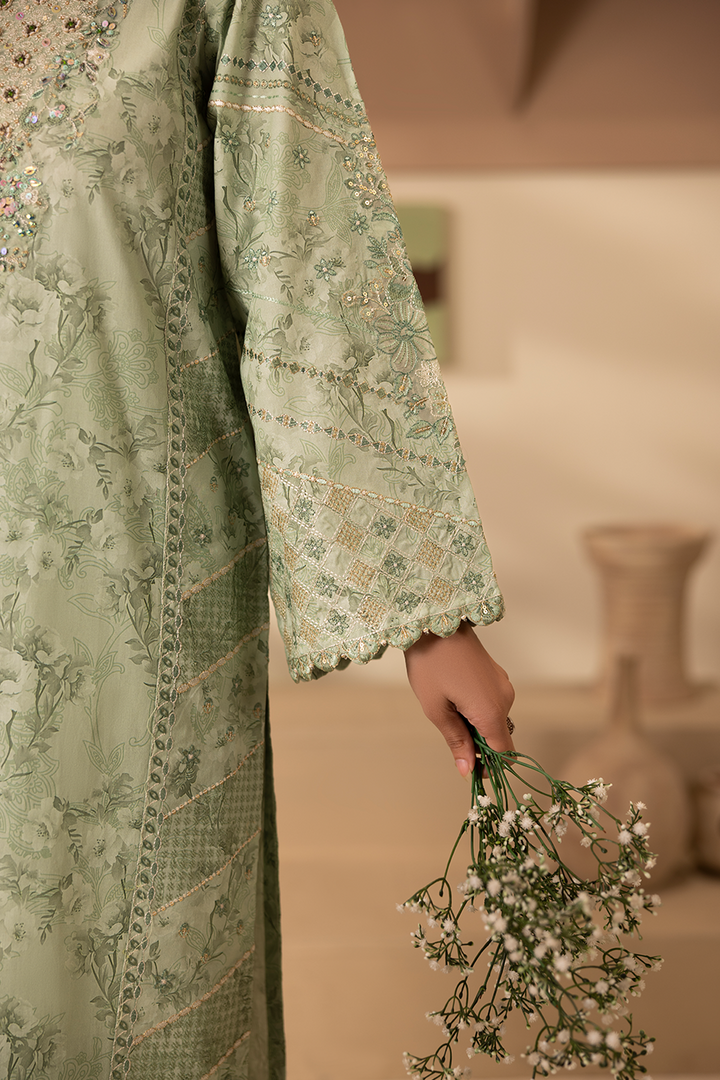 Mirzy - Printed Luxury Pret (3PC)