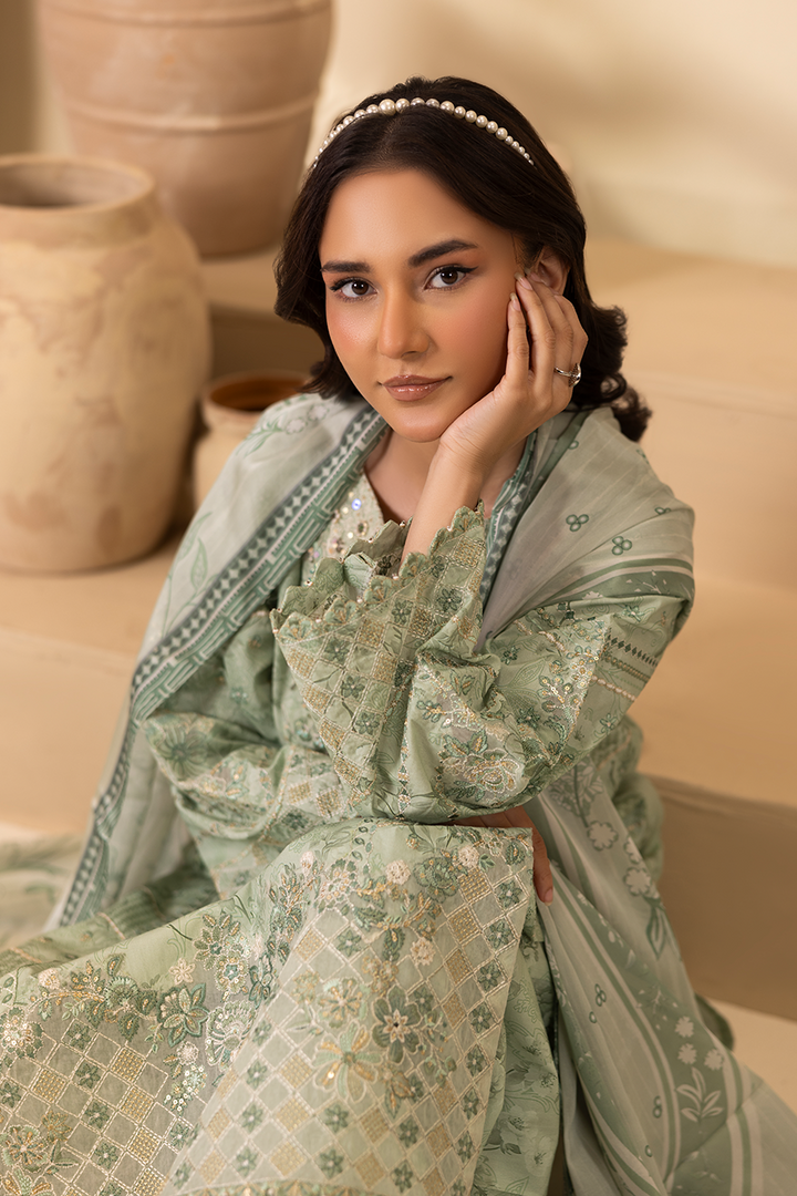 Mirzy - Printed Luxury Pret (3PC)