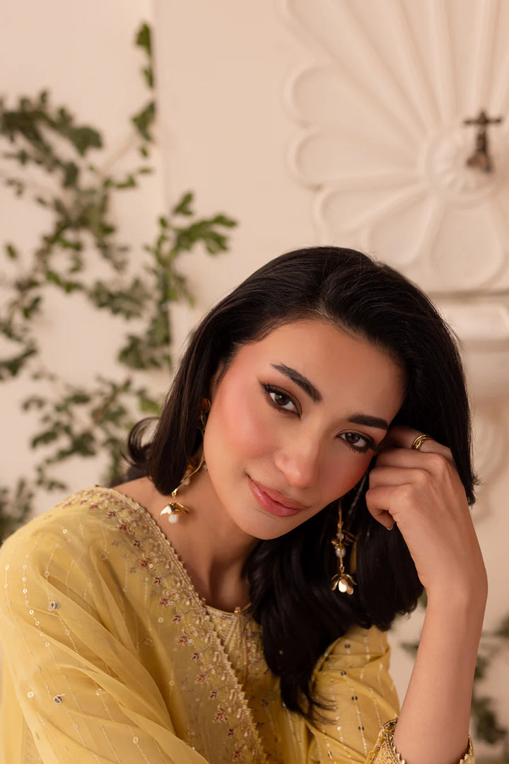 Ziya - 3 PC Embroidered Dress