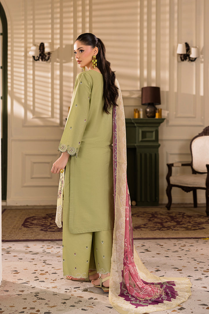 Apatite- Luxury Pret (3PC)