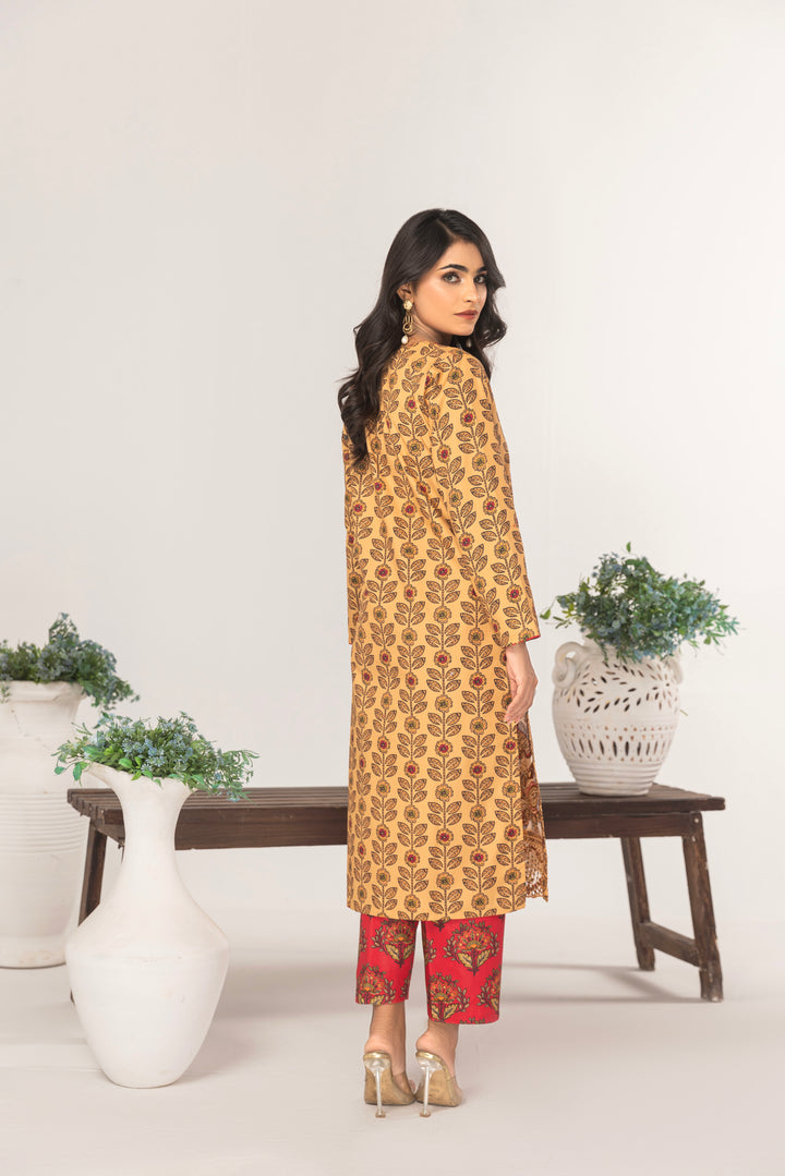 Maize 2Pc - Printed Khaddar Dress