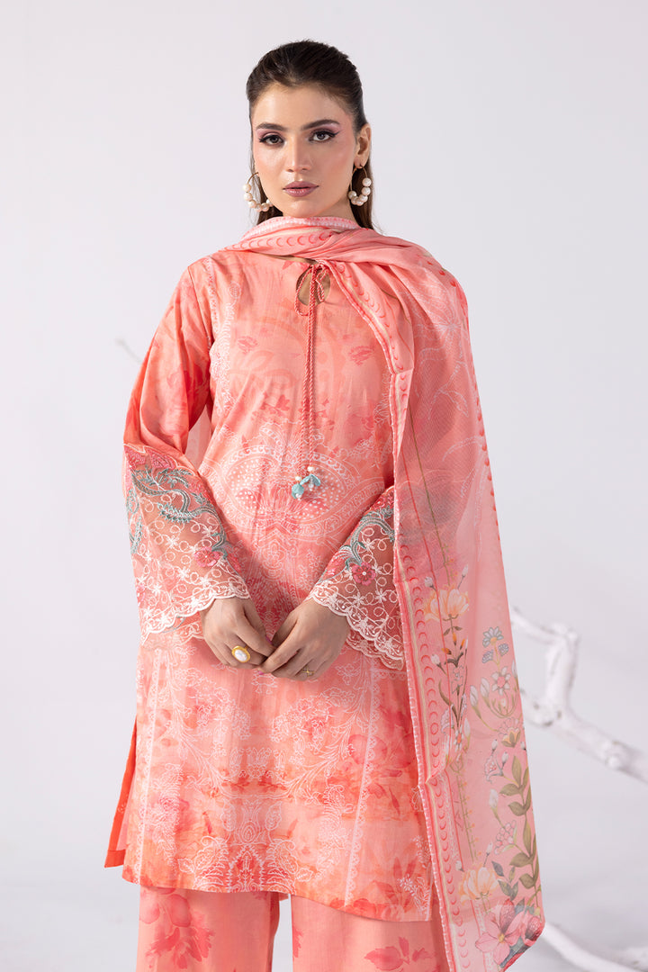 Sunlit Feild