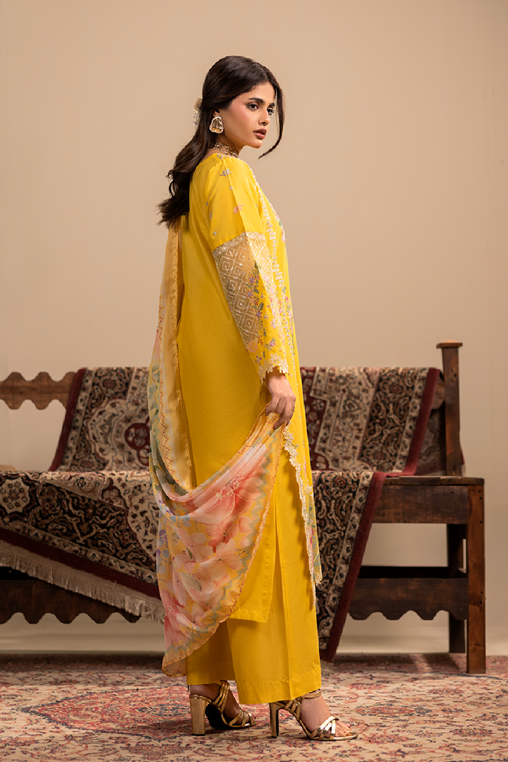 Lunara Emb-3PC - Zeenat Pret